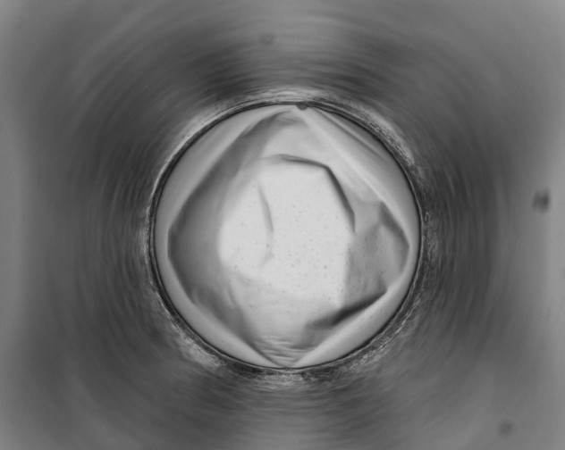 X0000099561186200806061533