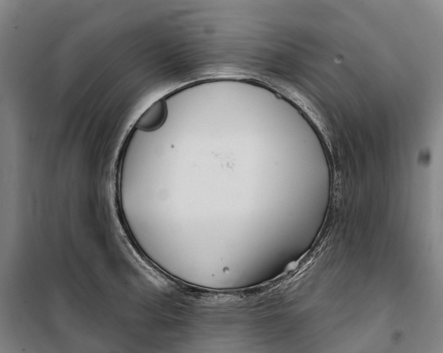 X0000099561187200806061533