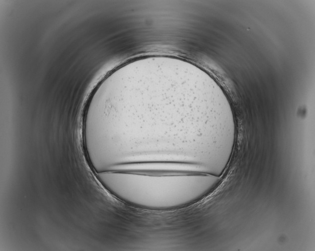 X0000099561188200806061533