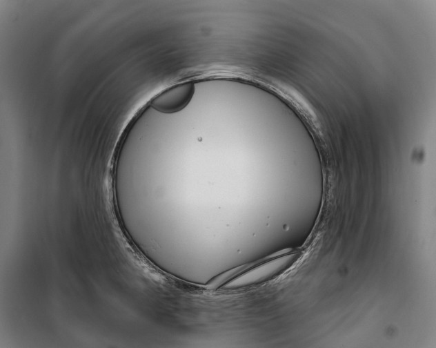 X0000099561190200806061533