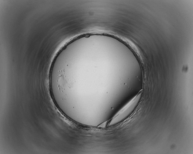 X0000099561191200806061533