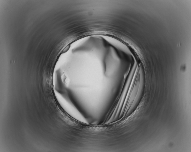 X0000099561193200806061533