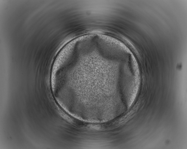 X0000099561194200806061533