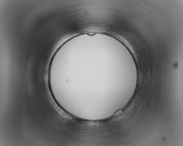 X0000099561195200806061533