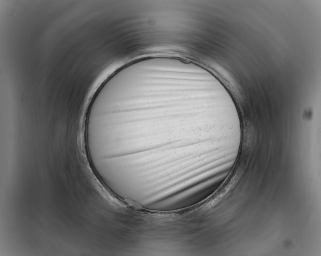 X0000099561196200806061533