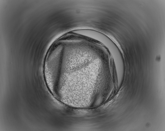 X0000099561197200806061533