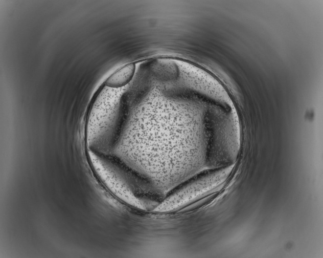 X0000099561198200806061533