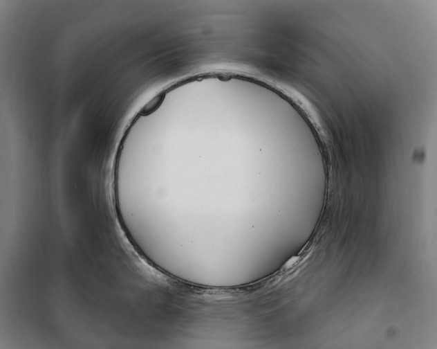 X0000099561199200806061533