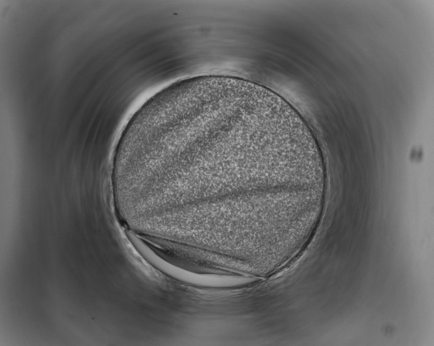 X0000099561200200806061533