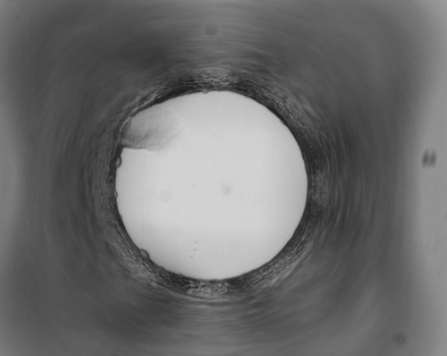 X0000099561201200806061532