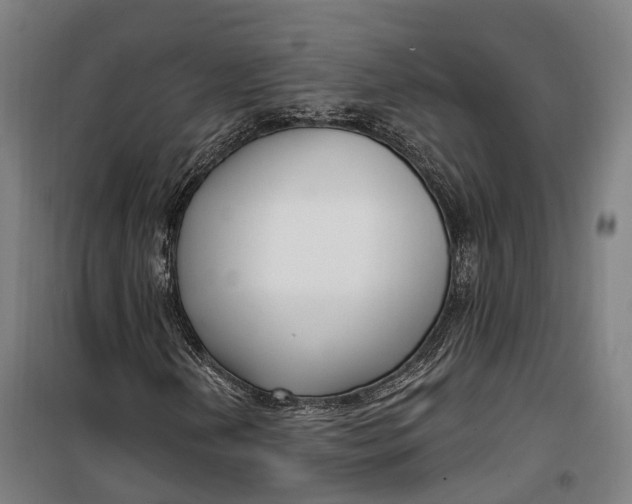 X0000099561202200806061532