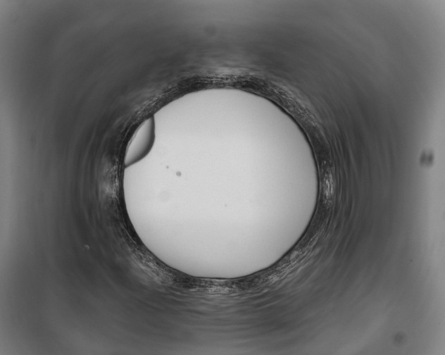 X0000099561204200806061532