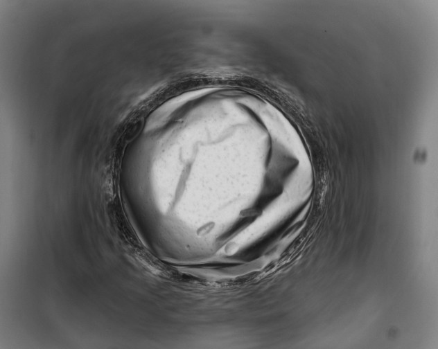 X0000099561205200806061532