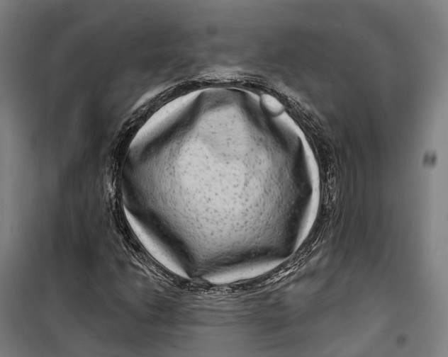 X0000099561206200806061532