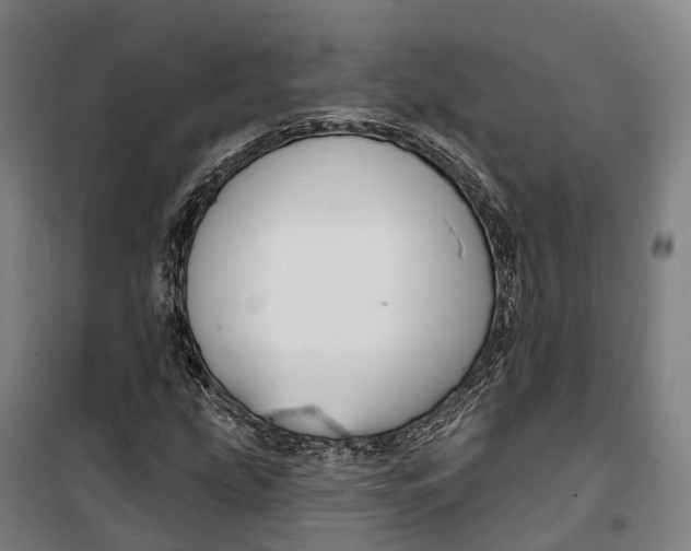 X0000099561207200806061532