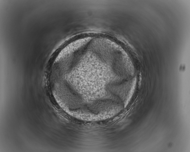 X0000099561208200806061532