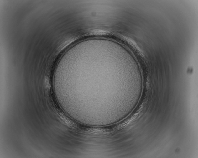 X0000099561209200806061532