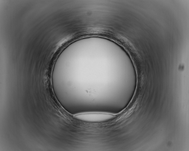 X0000099561210200806061532