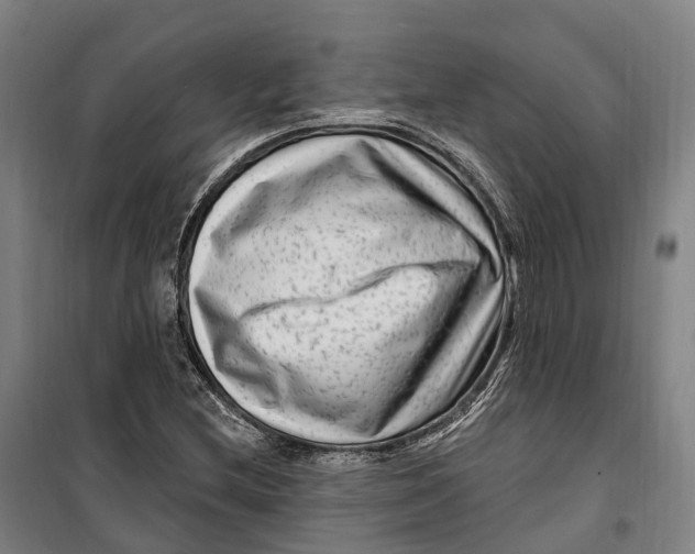 X0000099561212200806061532