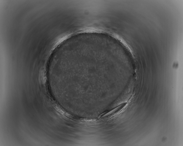 X0000099561213200806061532