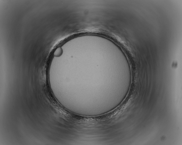 X0000099561214200806061532