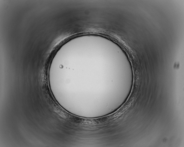 X0000099561215200806061532