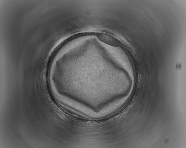 X0000099561216200806061532