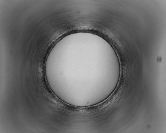 X0000099561217200806061532