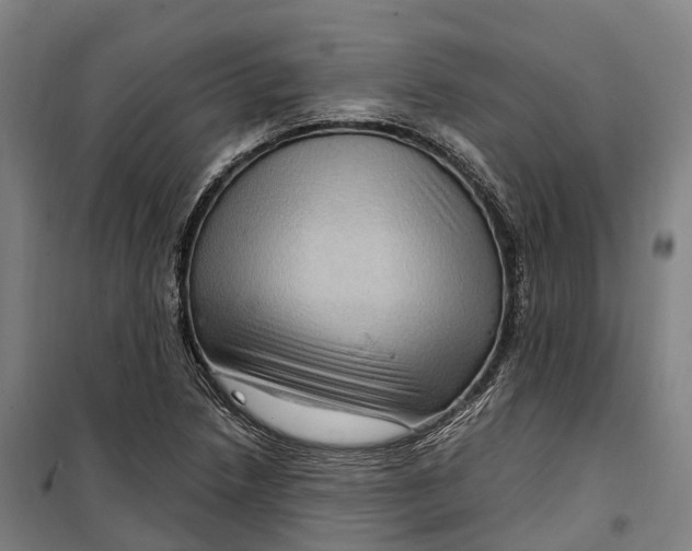 X0000099561218200806061532