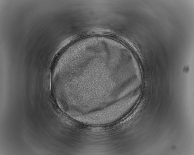 X0000099561219200806061532