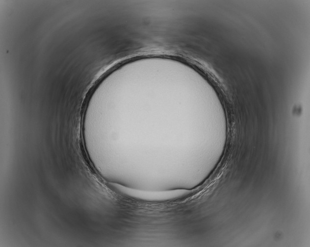 X0000099561220200806061532