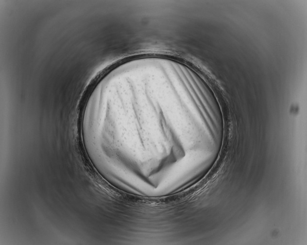 X0000099561222200806061532