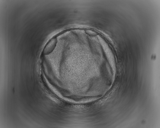 X0000099561223200806061532