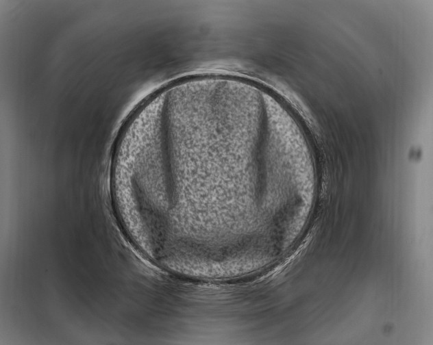 X0000099561224200806061532