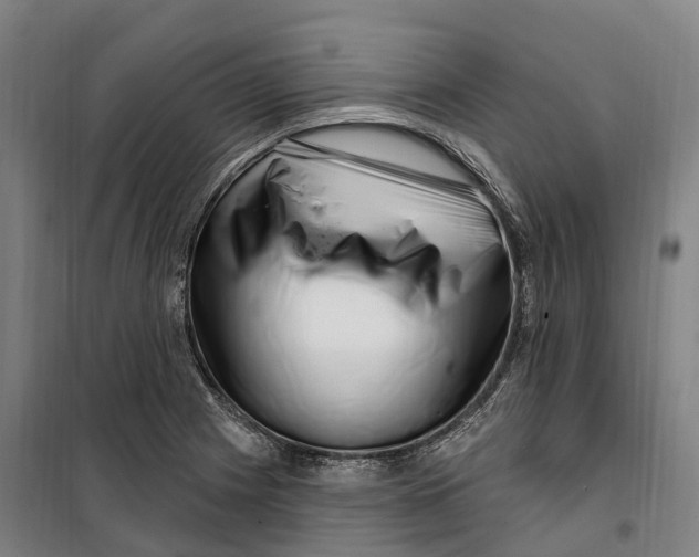 X0000099561225200806061532