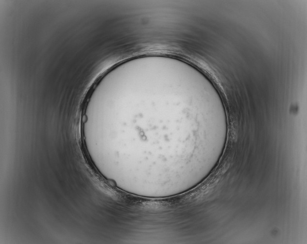 X0000099561227200806061532