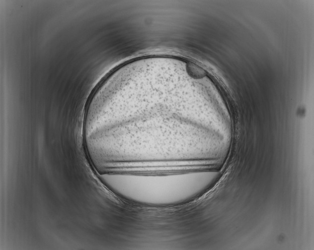 X0000099561228200806061532