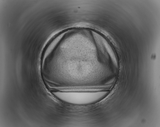 X0000099561232200806061532