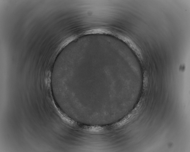 X0000099561233200806061532