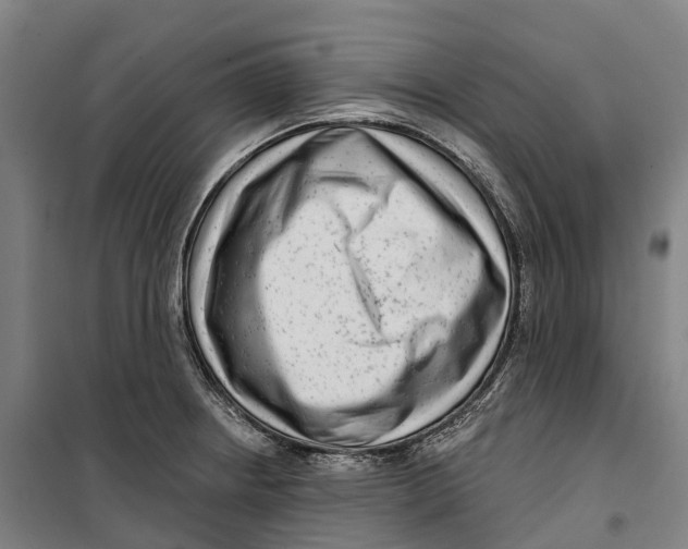 X0000099561234200806061532