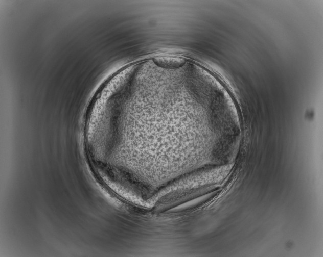 X0000099561235200806061532