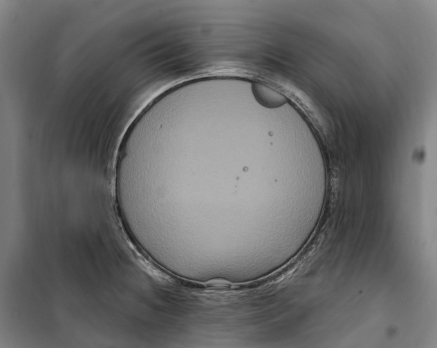 X0000099561236200806061532