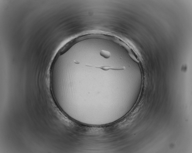 X0000099561238200806061532