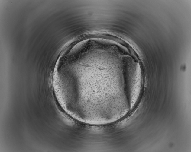 X0000099561241200806061532