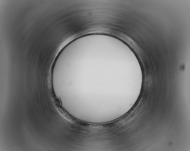 X0000099561242200806061532