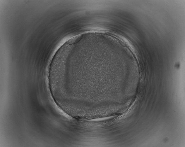 X0000099561243200806061532