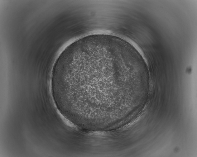 X0000099561245200806061533