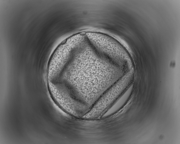 X0000099561247200806061533