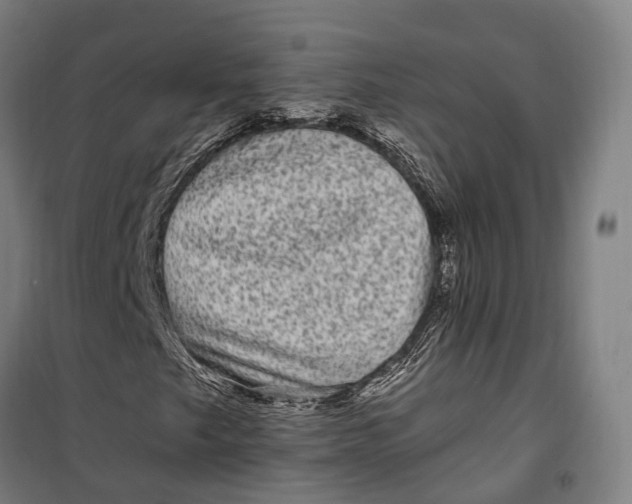 X0000099561249200806061532