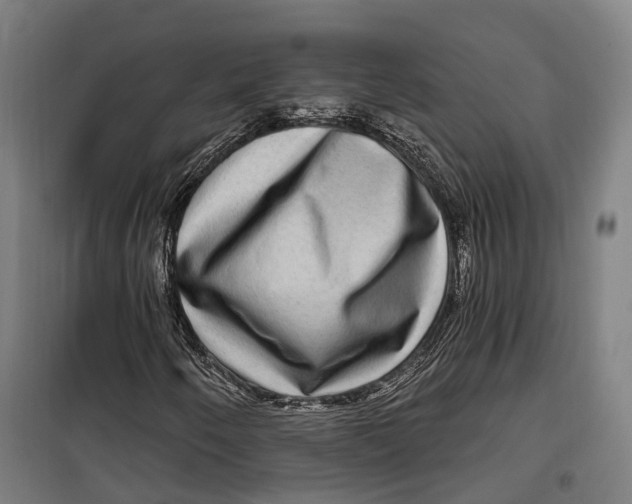 X0000099561250200806061532